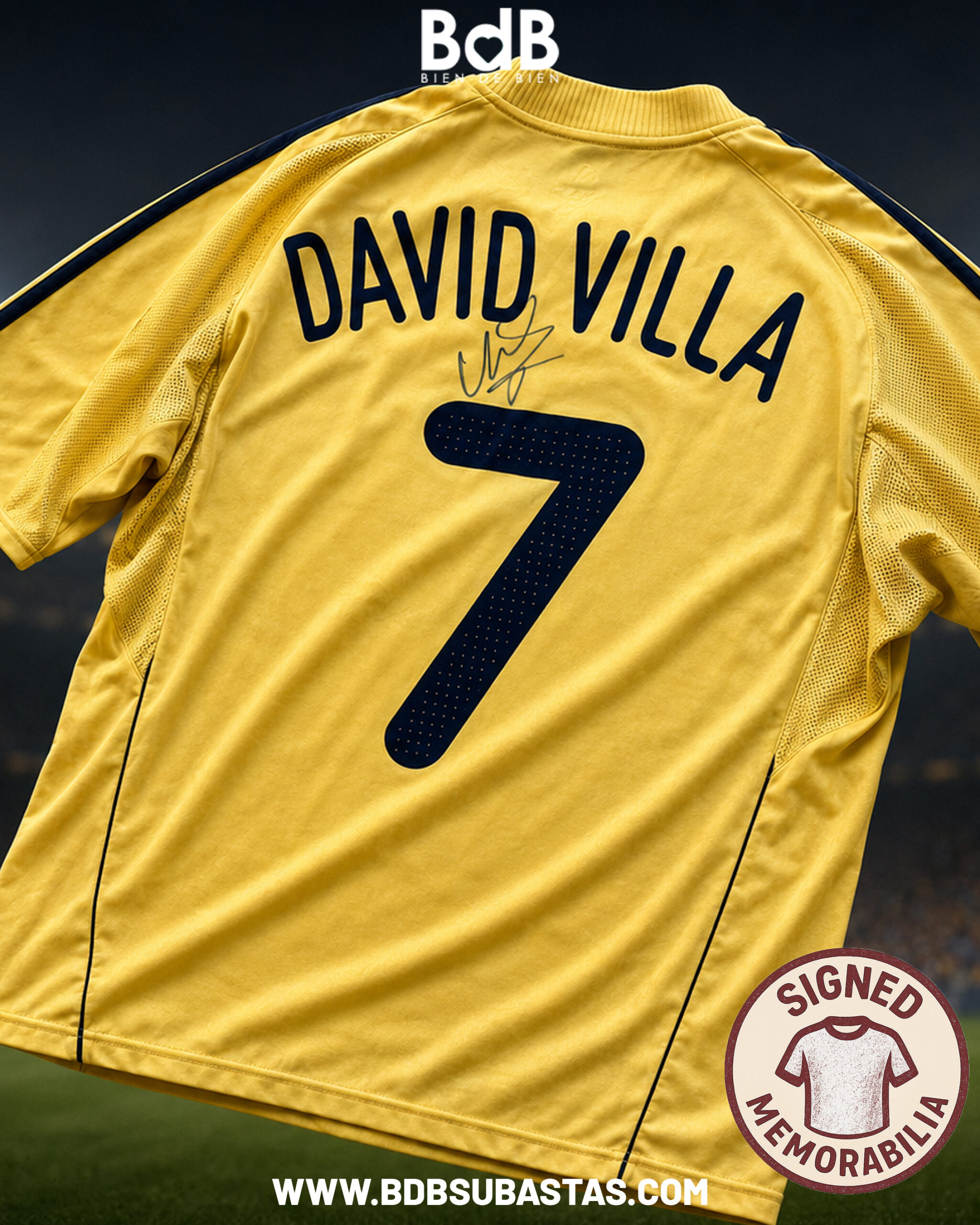 España Euro 2008 con firma certificada de David Villa (subasta en dólares)